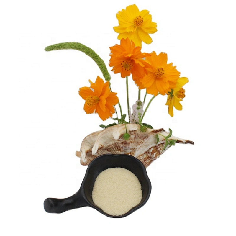 Chinese factory provide halal bovine skin gelatin 160 180 220 240 260 Bloom with cheap price